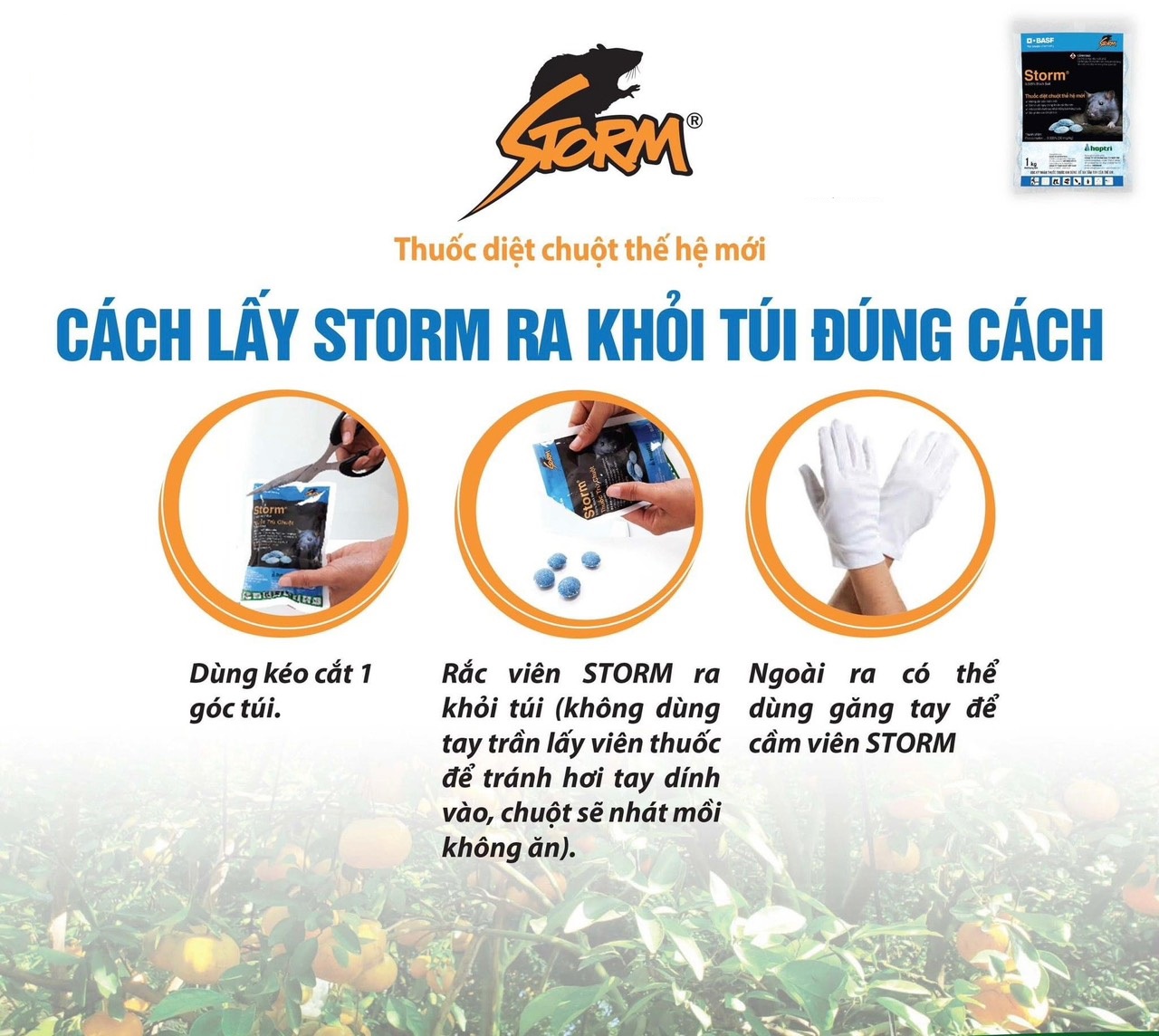 z5242269907099_380fffab21ffbabeb88ac196fc707f8b